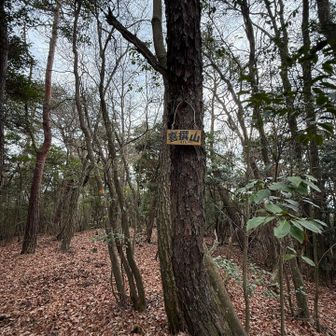 ここでお昼ごはん食べました