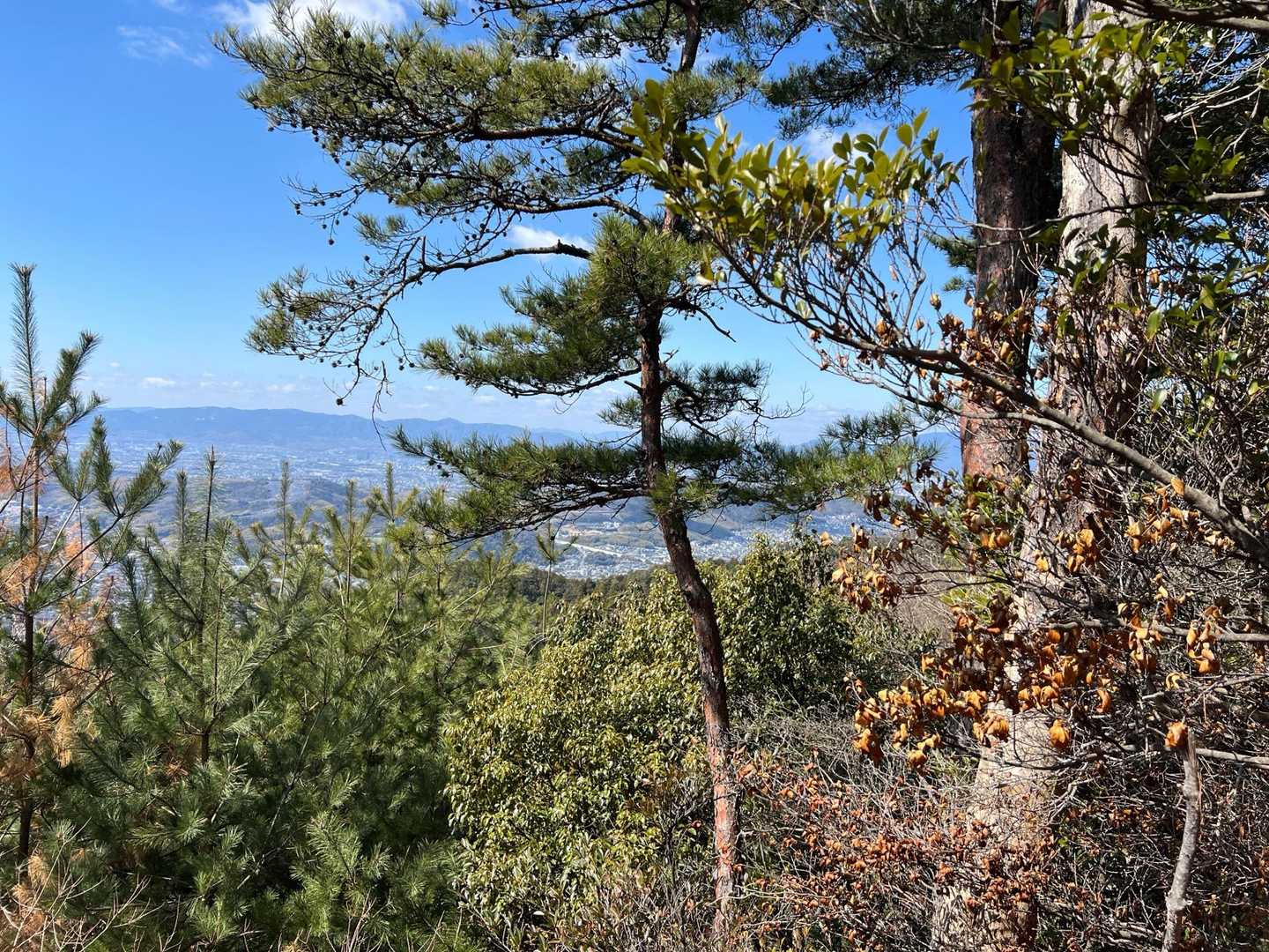 醍醐山-横嶺峠-高塚山 周回コースの写真