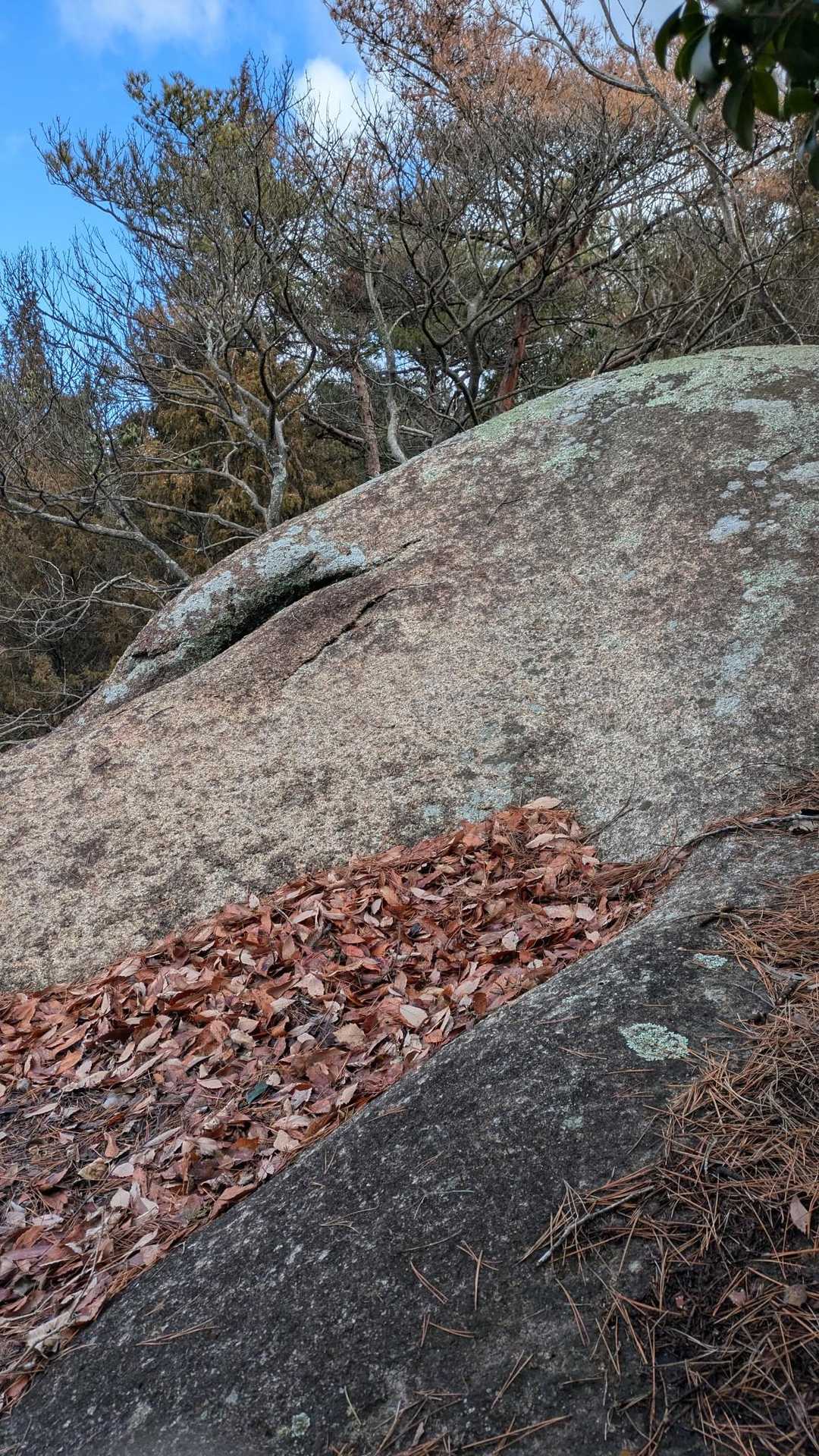 岩