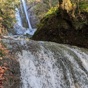 滝の方に下りてみました。また夏に訪れて滝壺で水浴びしてみたい😂