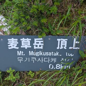 麦草岳へ〜👣
途中まで登ってみたけど
キュ〜ト💞
わたしの足てば真っ暗々下山になってしまいそうなので🥲
また今度👣