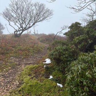 数人の方とスライド💦