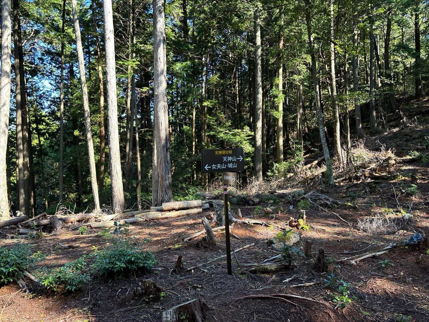 天神神社登山口-女夫山-松本峠-城山 往復コースの写真
