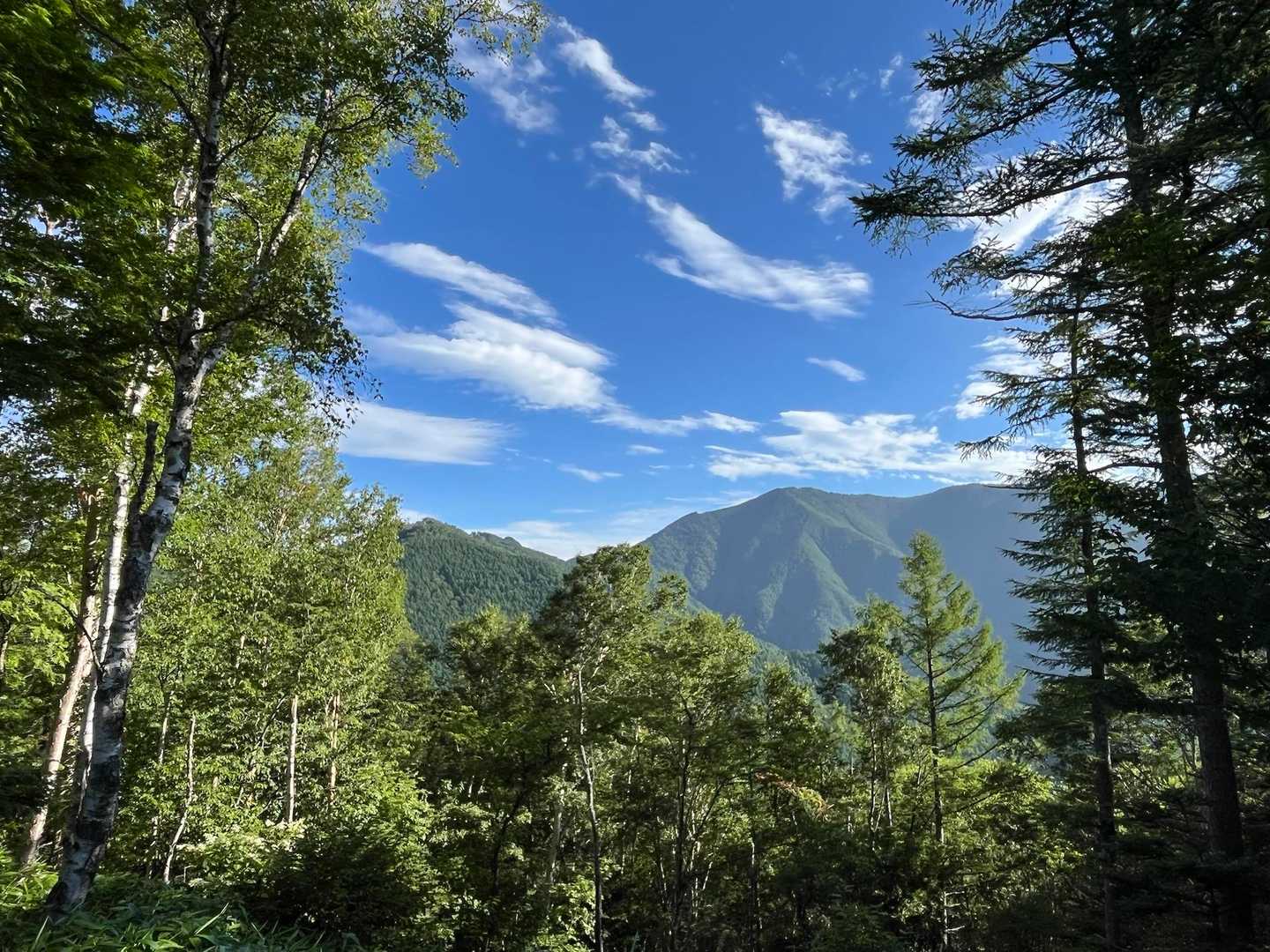 アンテナピークから北沢山と経ヶ岳