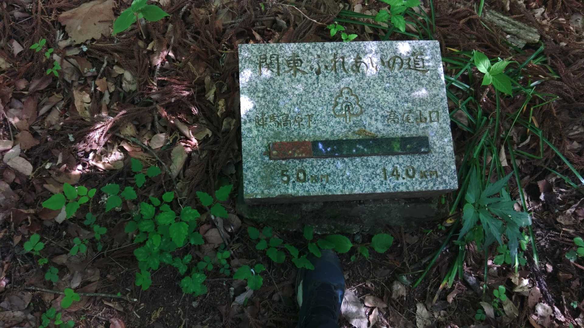 高尾山に向かって歩いているとダイトレみたいな石板あったり
