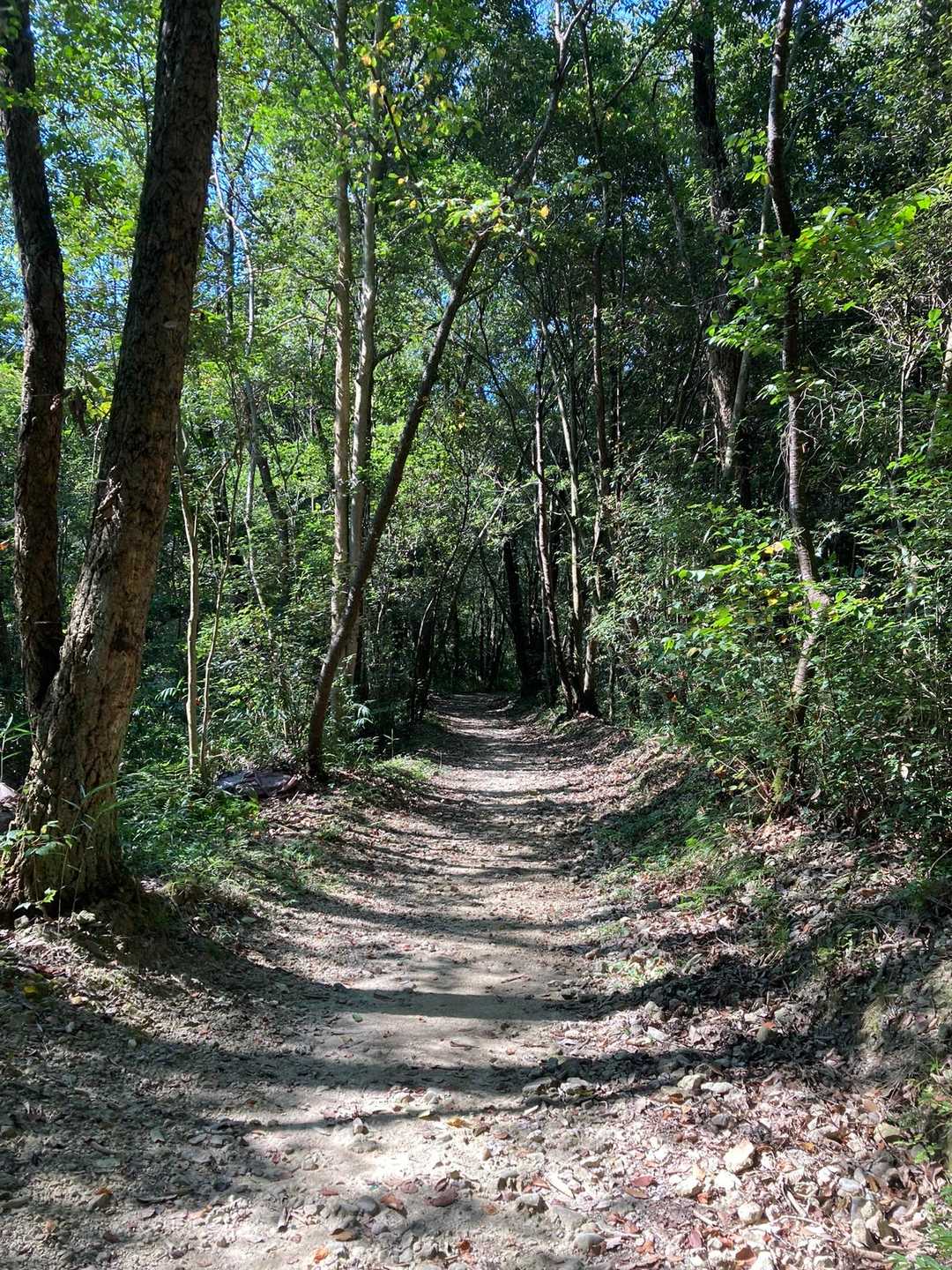 まさかのコース間違いで前回は登りたい岩場を下るはめに…