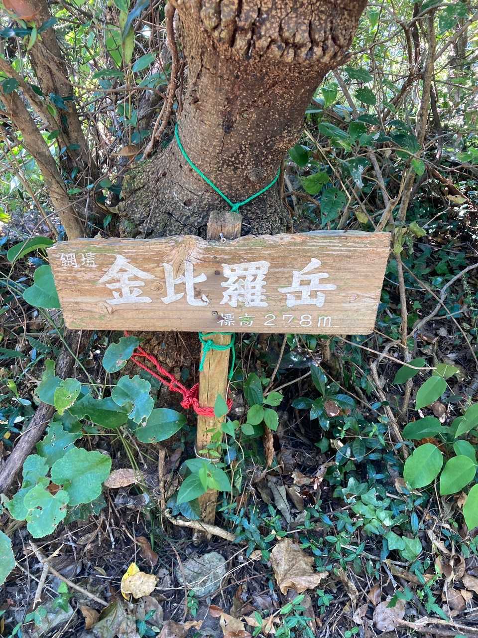 金比羅岳（長崎県長崎市）の写真