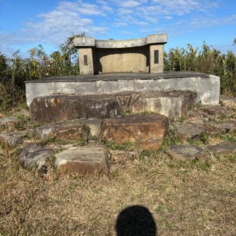 この上に上がると⤴️