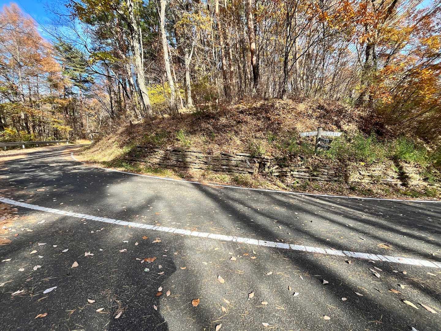 登山口出たところ　どこで間違えたかこの土手を飛び降りる羽目になりました😵