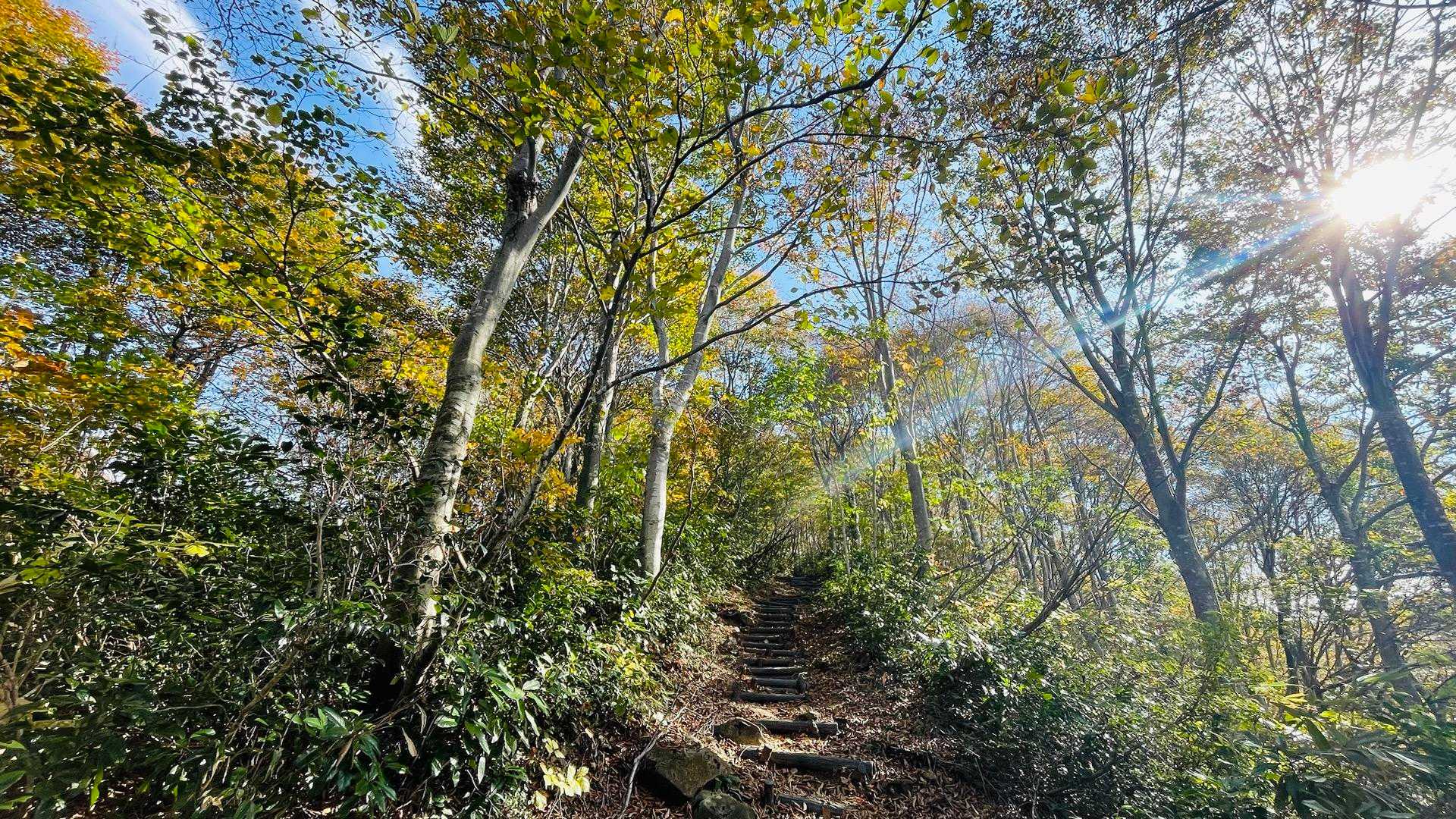 まずは大岳を目指します。