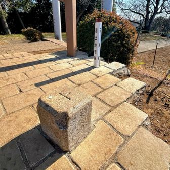 高尾山 山頂⛰️
横浜市内唯一の三角点！