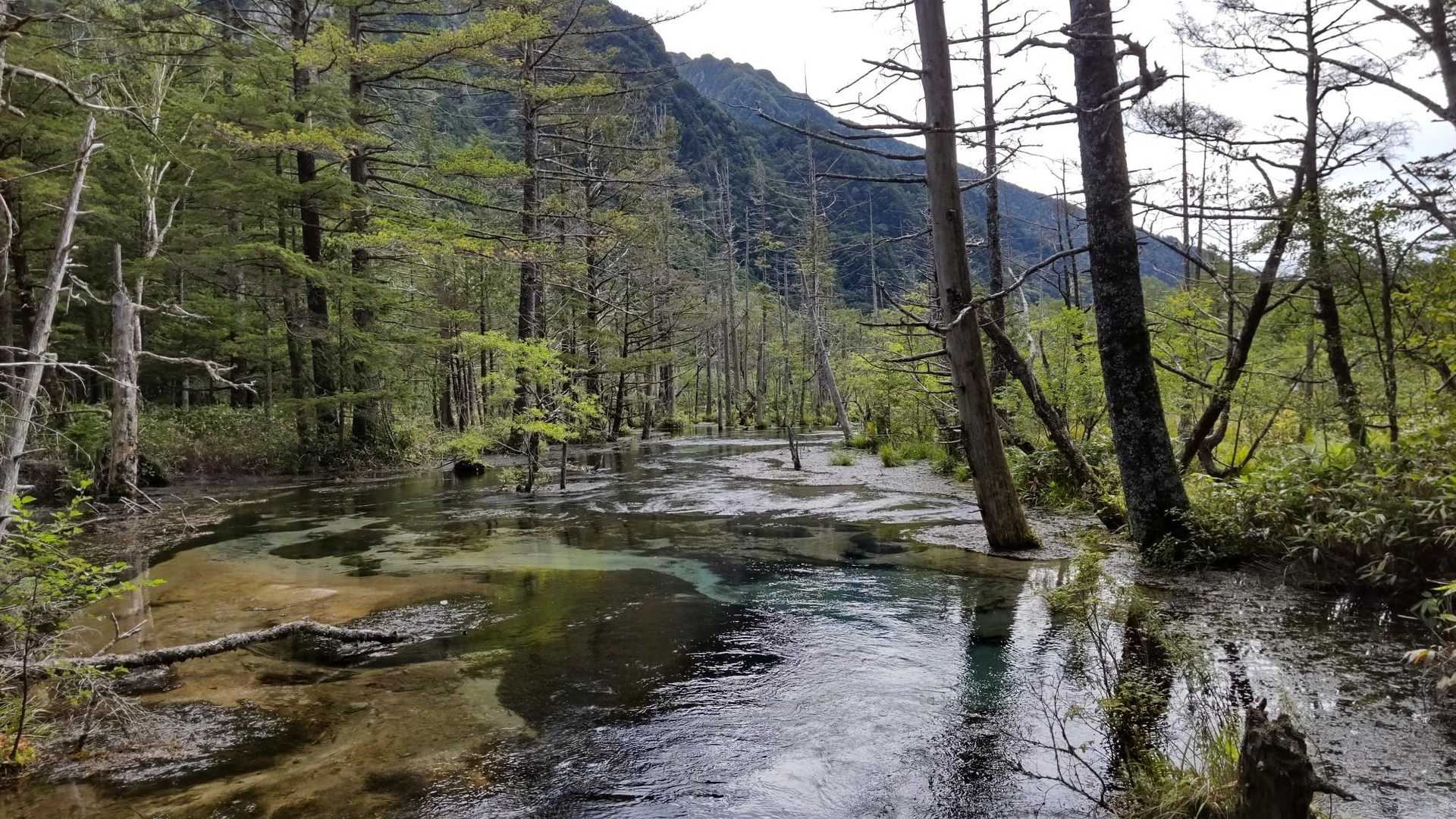 上高地バス停-河童橋-小梨平-明神橋-岳沢湿原 周回コースの写真