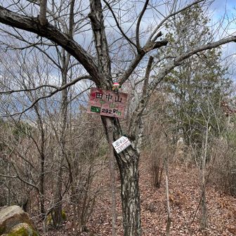田中山⛰️
風を避けてランチタイム