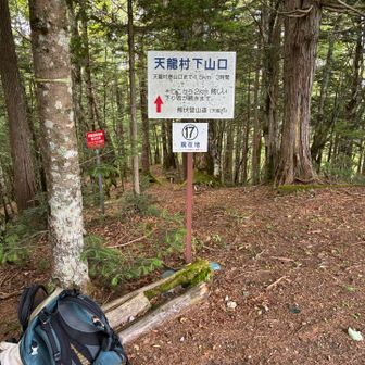 天龍村からも登って来れるようです。