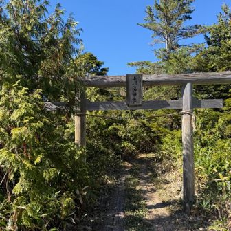 志賀山神社の鳥居をくぐります