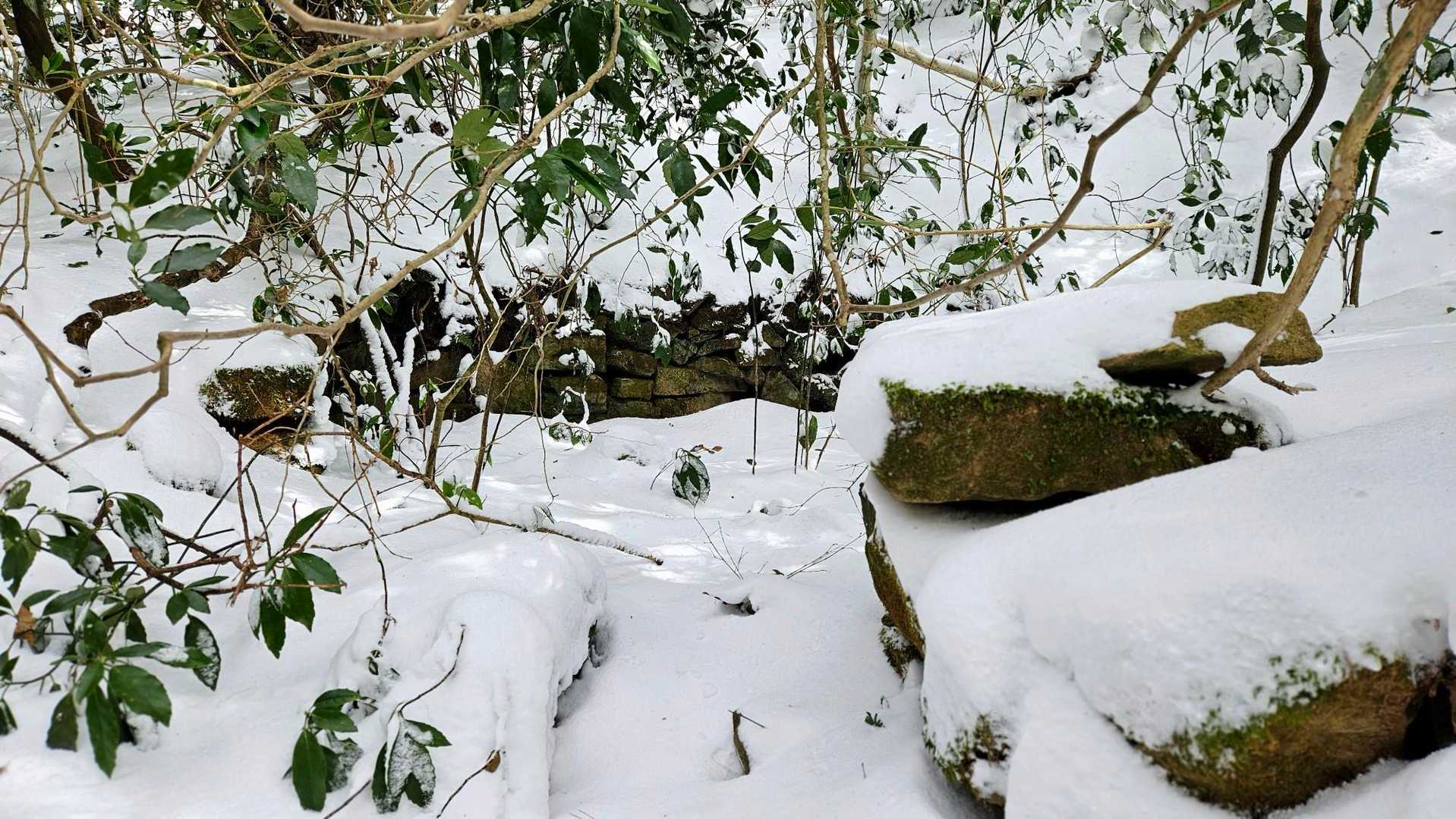 登りで気づかんかったけど、炭焼き窯かな😲
