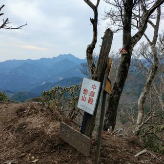 中摩殿畑山▲991mに着いた！💦😤😮‍💨　眺望最高‼️