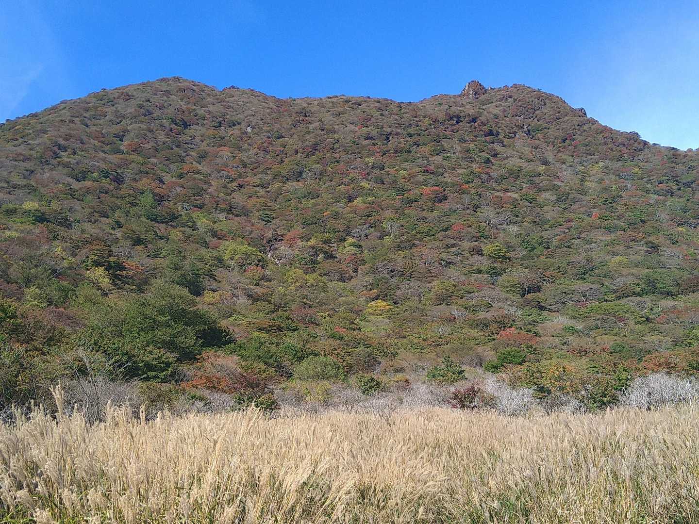 大船山の紅葉がパラパラと見えるので、頂上の状態が楽しみです😉