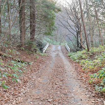 登山口までの道は一台分しか通れない狭い道、舗装されてるのがありがたい