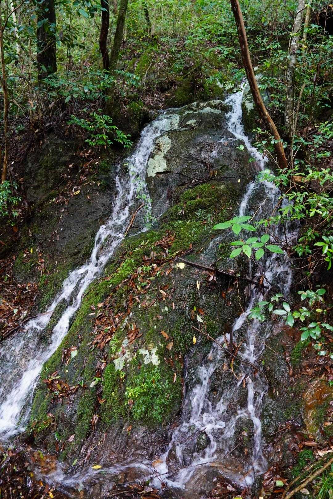 星塚山 往復コースの写真