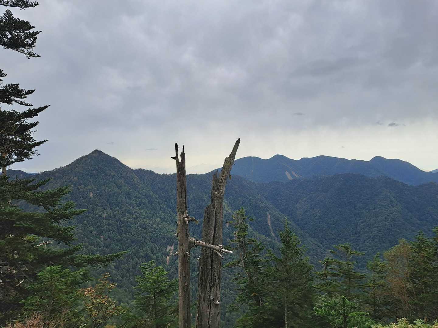 栃百の燕巣山と根名草山
湯泉ヶ岳も　