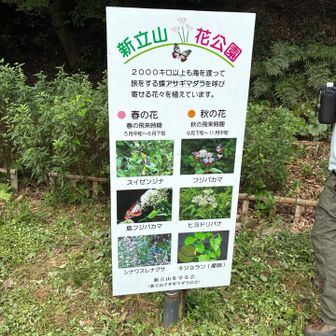アサギマダラが楽しみな場所🎵
花壇が綺麗に手入れされてる✌️