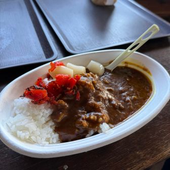美味すぎた蛭ヶ岳山荘のヒルカレー