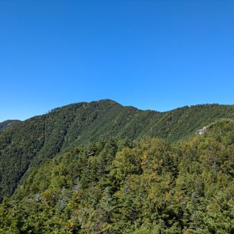 これから行く予定の池ノ平山までの尾根…このあとの標高差はさほどないものの、やはり脚が出にくいし、右足首も依然として不安が残る…次のピークまでの様子で撤退を判断することにしました