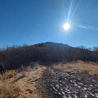 ようやくピークが見えました