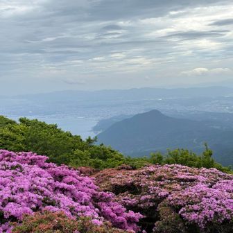 高崎山