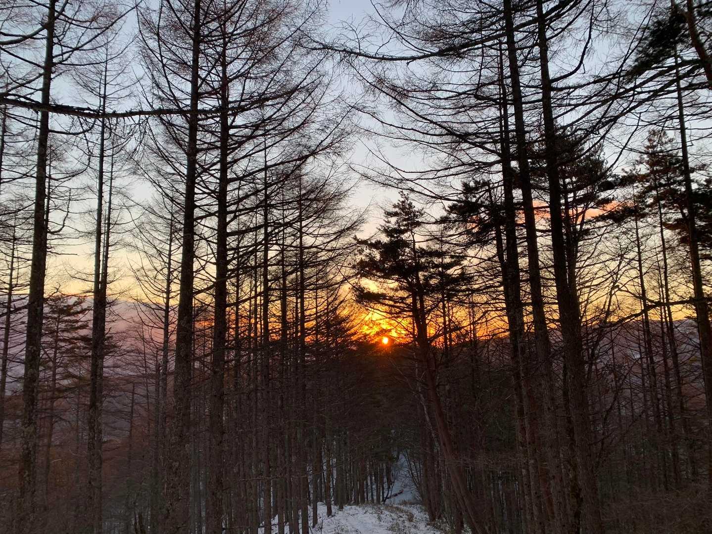 あ、昇ってきた