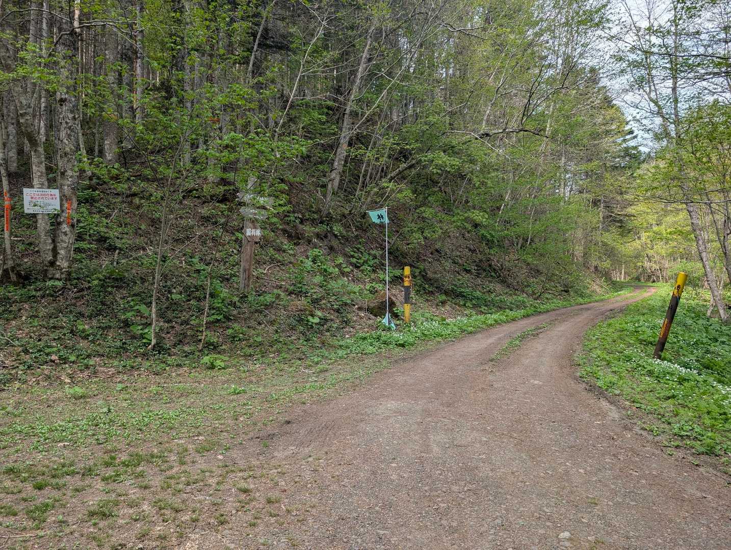 今日はこちらの奥新道へ