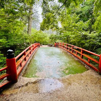 ゲリラ豪雨