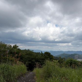 雲ゆきが怪しくなって来た