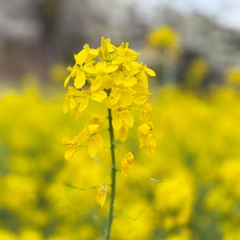 ライダーさんも来ていた