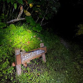 今日もご来光目指して夜活⭐︎