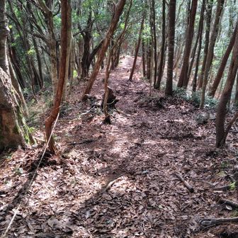 ここらは急なので足元に気をつけて下ります。
親切なロープもあります。