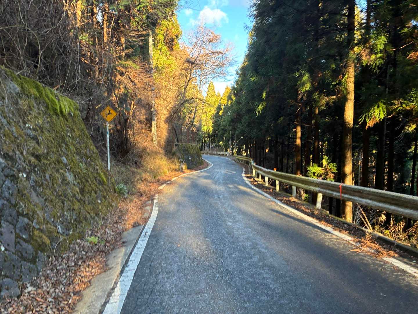 しばらくは塗装路