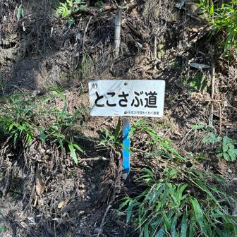 とこさぶ道とは❓🤔
