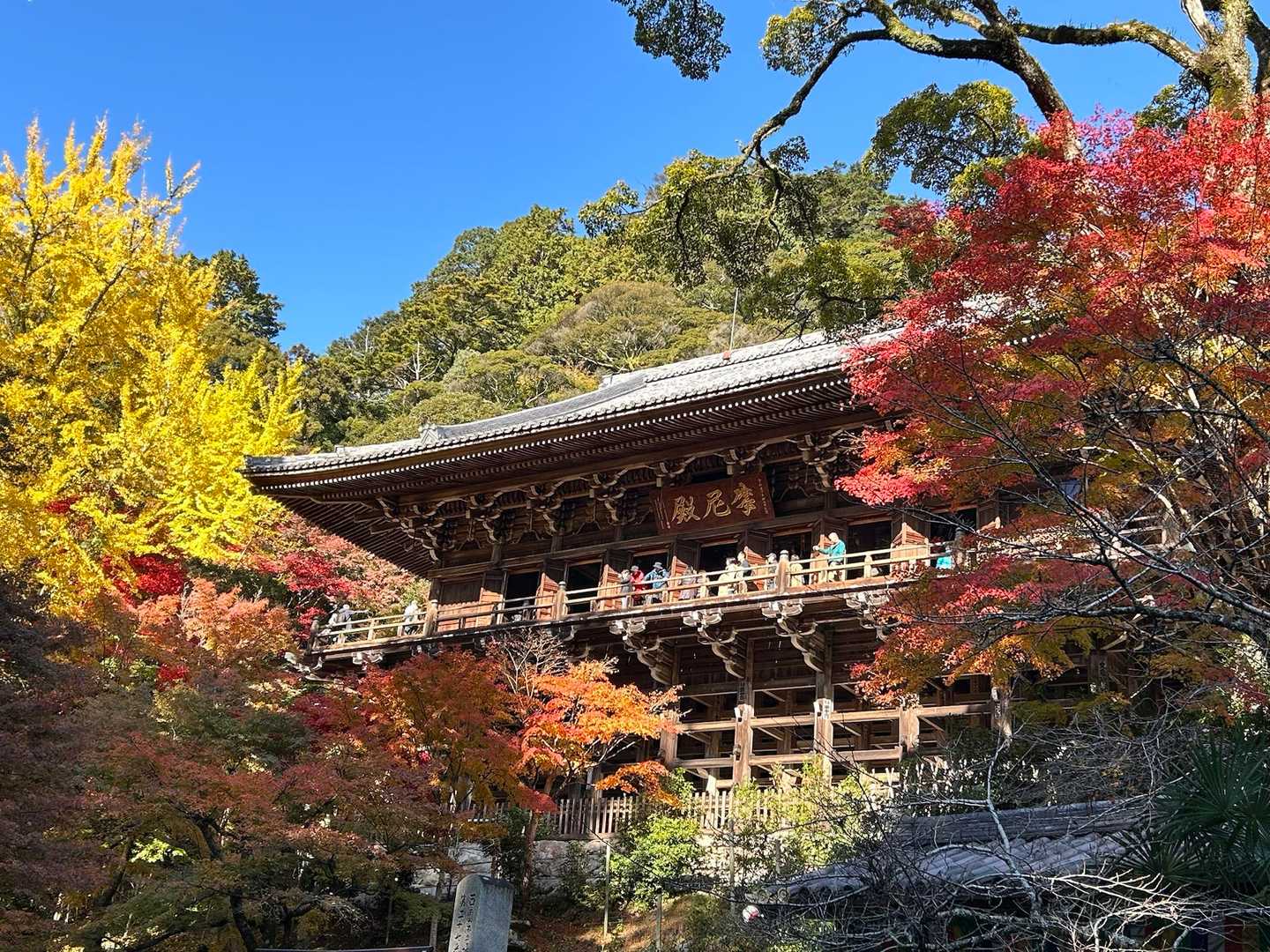 摩尼殿
見たかった景色♪
色づいた木々に囲まれて
美しい姿です✨