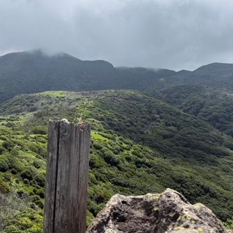 沓掛山から登山路を眺める