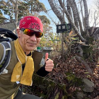 青葉神社の裏手に東峰の山頂があります