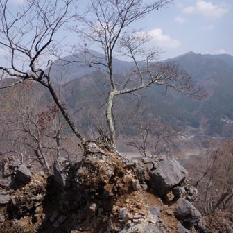 乗り越えた尾根？を振り返って。写真では武甲山が見えているが、ここからは、秩父市街の巴橋の赤色までが見えていた。それはそうと、核心部はこの写真の後ろ、進む方向になるだろう。何が怖いのかと言えば、土混じりの岩塊が、ゴソッと丸ごと落ちてしまうのではないか？と思われることで、実際土が抉れた部分が露出していたし、そのせいで、上へ進むことが出来るルートは1つしか残されていないようにも感じた。手がかりになる岩にグラつくものもあって、これは個人差があるのでなんとも言えないけれど、多少命の危険は感じたと思う。ただそうなってくると、写真を撮る余裕はなくなり、核心部の写真はないということに^^;