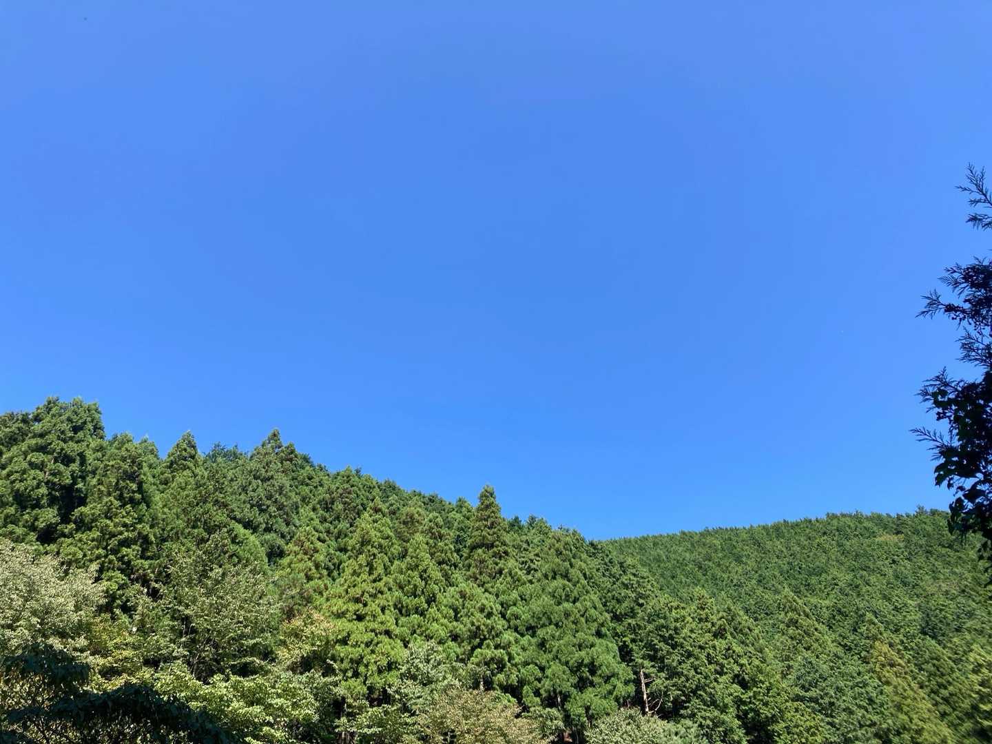 無事下山