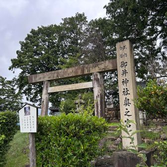 サクッと登頂。
