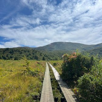木道がありました。新しくて歩きやすい🚶