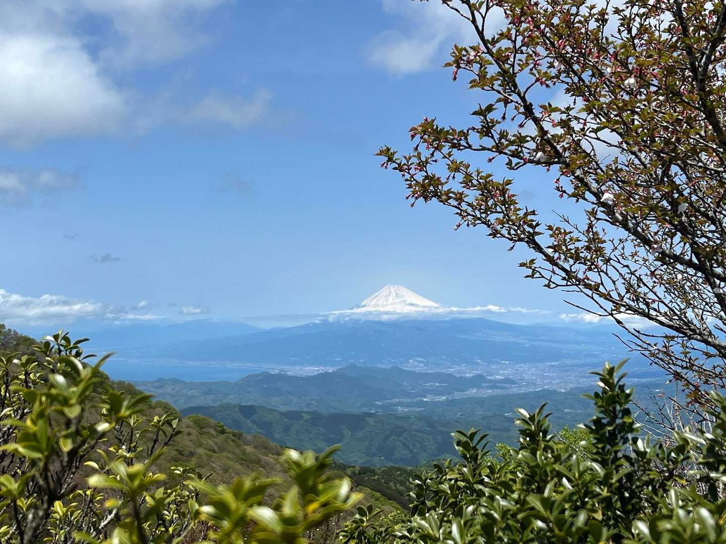 少し先の眺望ポイントから。
富士山🗻よく見えました♪