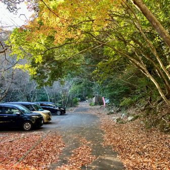 無事駐車場に帰ってこれました