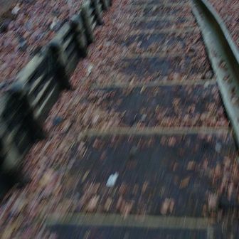 わぁっ!　ウソ〜マジかっ!　前から団体さんが😨
（登り優先だからなぁ〜）
ちゃんと待ちました😰

🎵はやく〜はやく〜
🎵道をあけてよ〜
🎵（かなり😱）あぶないんだもの