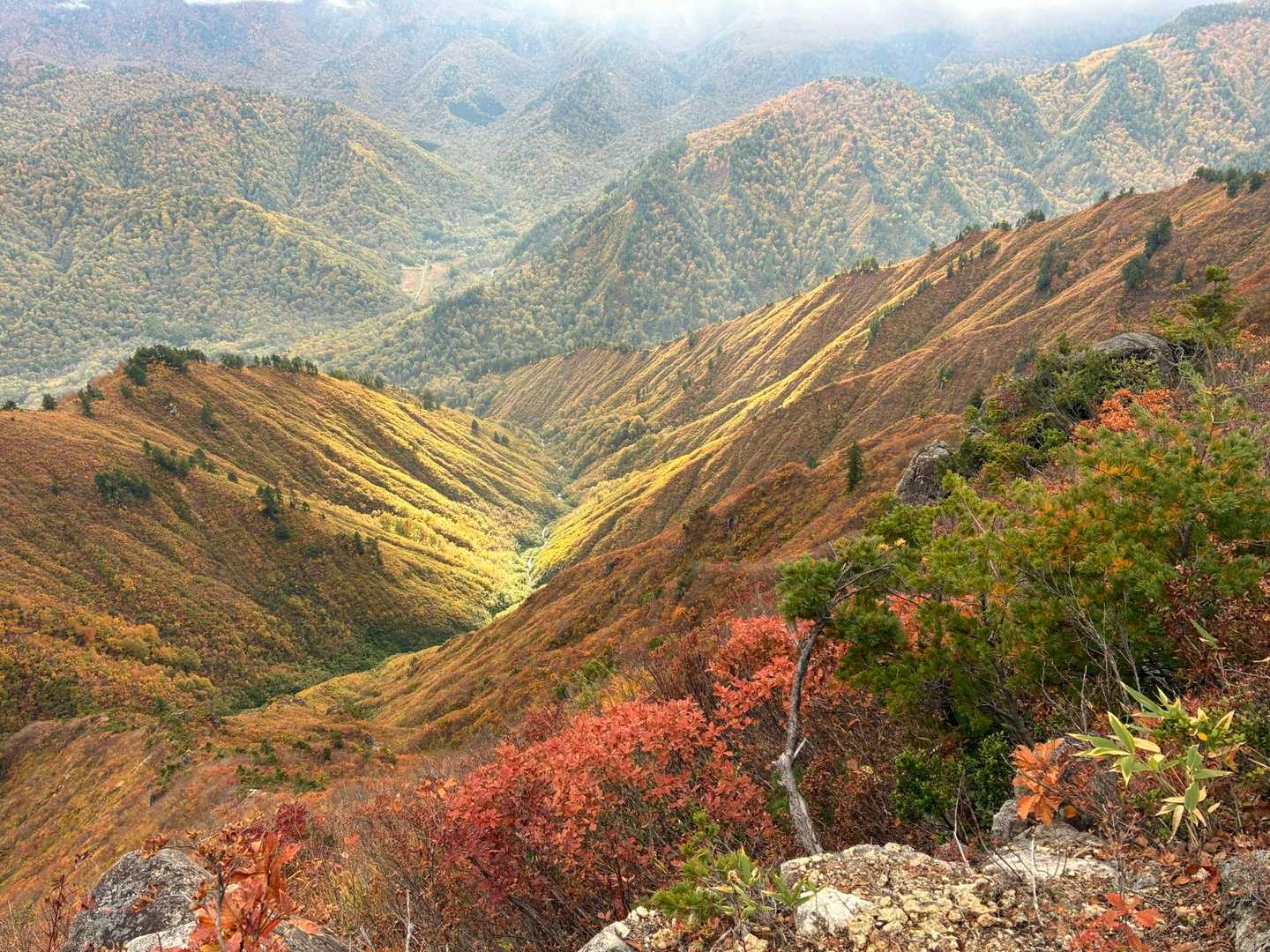 平ヶ岳往復 | 山小屋なし、難関コースの頂に広がる秘境の高層湿原の写真